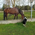 L'hacienda Pensjonat 3*