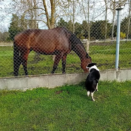 L'hacienda Penzion 3*
