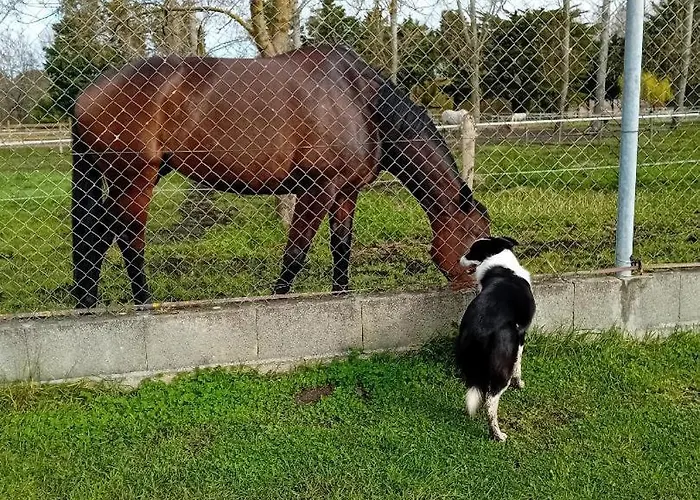 L'hacienda Gasthof 4*