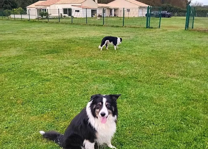 L'hacienda Gasthof 4*